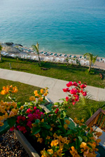 Royal Decamer&oacute;n Bar&Uacute;